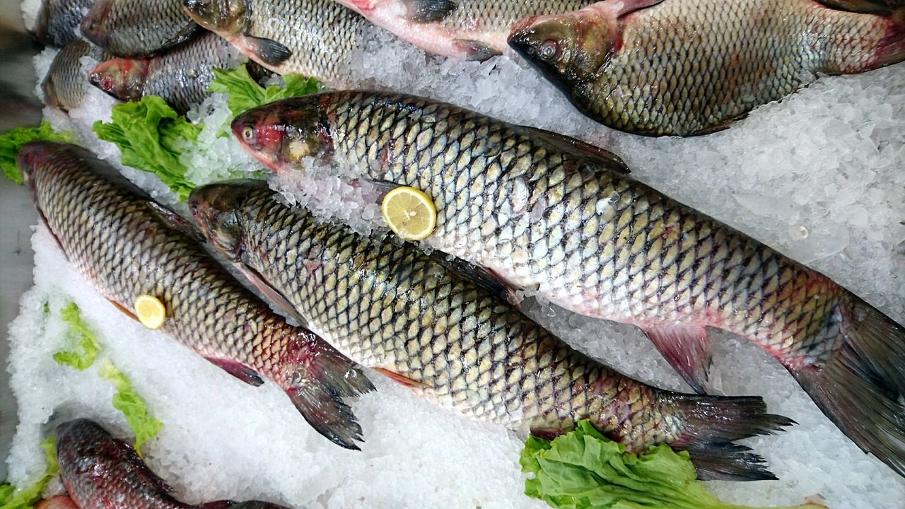Pescado de calidad